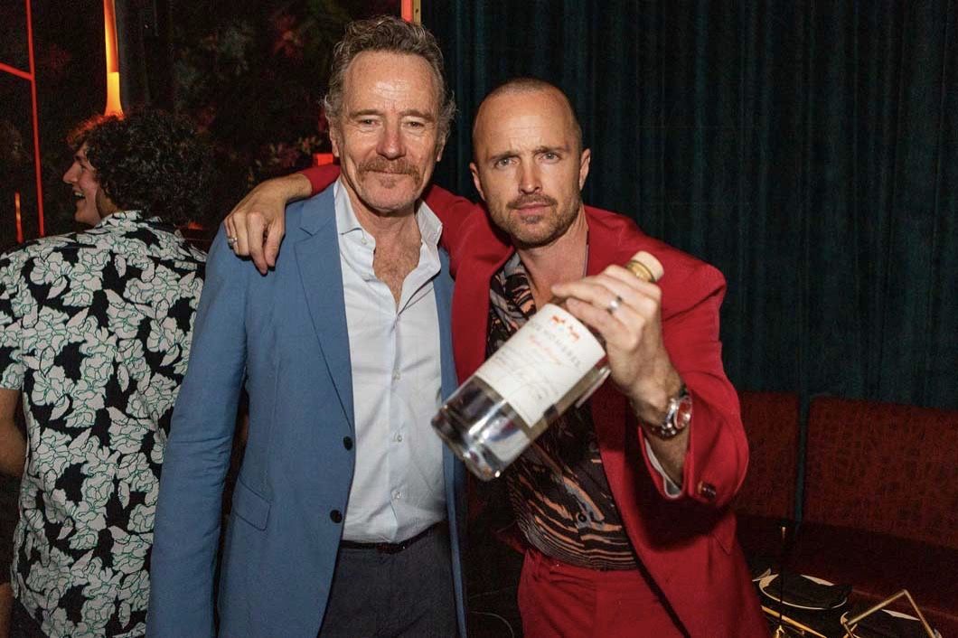 Aaron Paul and Bryan Cranston transformed into bartenders at Drake's birthday party